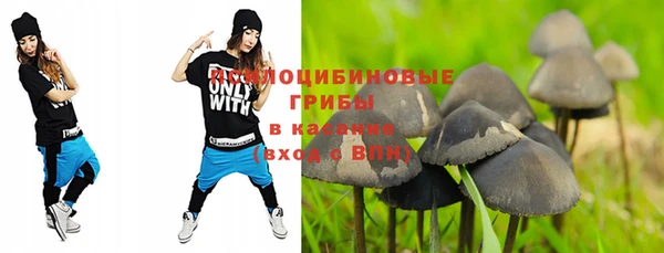 кокс Алзамай