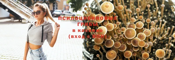 кокс Алзамай
